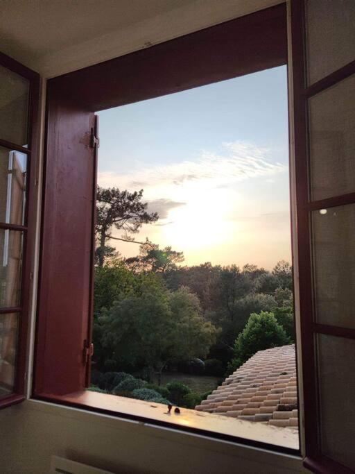 Arcachon Appartement 4 Personnes - Residence Beausejour 外观 照片